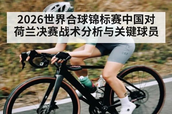 2026世界合球锦标赛中国对荷兰决赛战术分析与关键球员